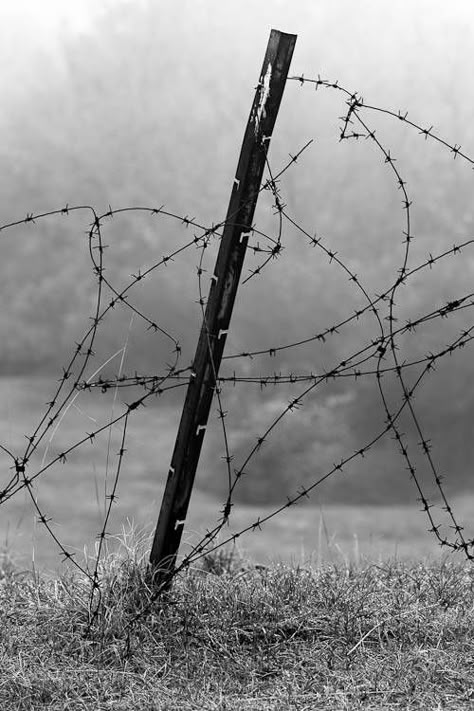 Barbwire Aesthetic, Wires Aesthetic, Sharp Aesthetic, Sharp Photography, Photography Office, Black And White Fine Art, Srinagar, Barbed Wire, Ap Art