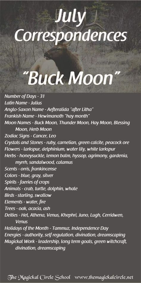 Buck Moon July Correspondences July Correspondences, Monthly Correspondences, Full Buck Moon, Full Moon Names, Buck Moon, Thunder Moon, Moon Zodiac, Moon Names, Moon Meaning