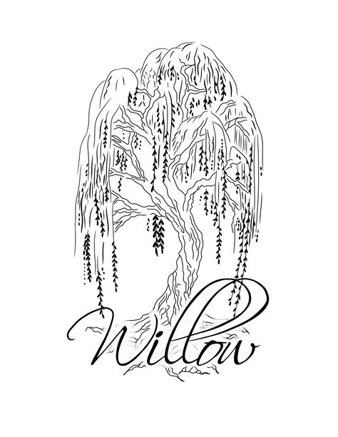 Simple Willow Tree Tattoo, Weeping Willow Tree Drawing, Willow Tattoos, Willow Tree Sketch, Willow Tree Drawing, Willow Tattoo, Willow Tree Tattoo, Willow Tree Tattoos, Minimal Tattoos