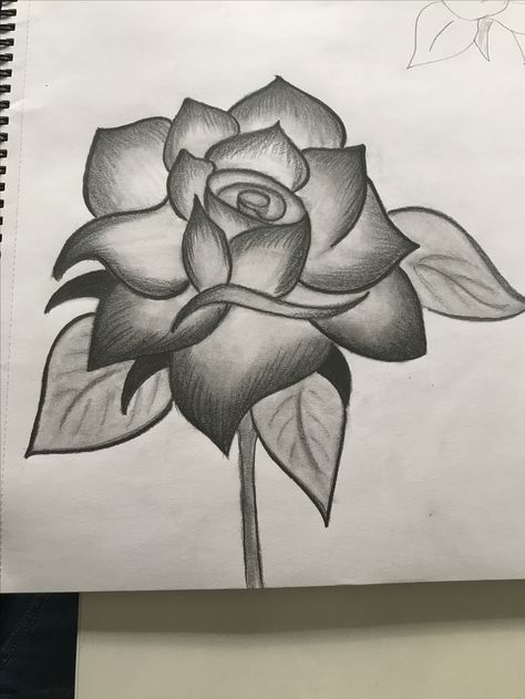 Rose Drawings Pencil, Rose Chicano Art, Chicano Flower Drawing, Chicano Rose Drawing, Chicana Art Drawing, Drawing Ideas Chicano, Chicana Drawings, Easy Rose Drawing, Chicano Drawing