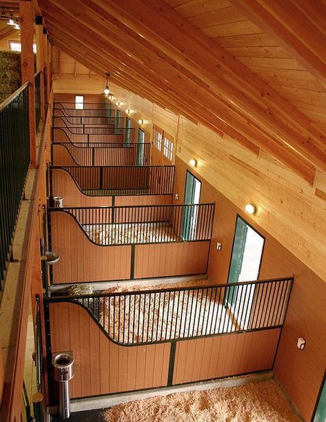 Equine Facility Design, Luxury Horse Stables, Horse Stables Design, Luxury Horse Barns, Dream Barn Stables, Equestrian Stables, Horse Farm Ideas, Horse Barn Ideas Stables, Horse Barn Designs