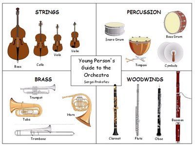 Some pictures of the various instrument families. Instrument Families, Composer Study, Elementary Music Class, Homeschool Music, Elementary Music Education, Orchestra Music, Preschool Music, Music Worksheets, Elementary Music Classroom