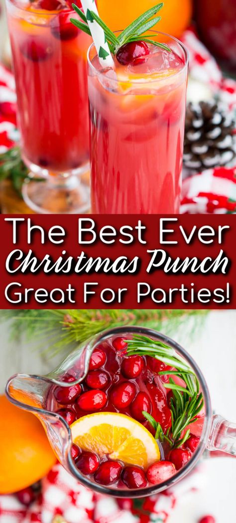 Christmas Punch Recipe (Boozy or Not) | Sugar & Soul Christmas Drinks Alcohol, Margaritas, Holiday Party Drinks, Christmas Drinks Alcohol Recipes, Holiday Punch Recipe, Christmas Drinks Recipes, Christmas Punch Recipes, Holiday Punch, Christmas Punch