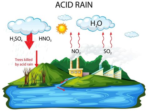 Diagram showing acid rain pathway on white background Atomic Age Aesthetic, Rain Cycle, Rain Clipart, Earth Science Projects, Discovery Day, Rain Pictures, Acid Rain, Canvas Learning, Water Cycle