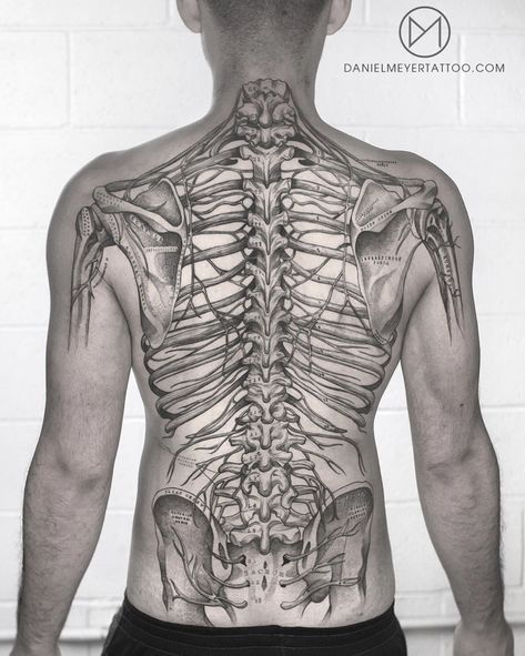 Spine Back Tattoo, Anatomical Tattoo, Anatomy Spine, Back Anatomy, Inked Magazine Tattoos, Anatomical Tattoos, Nikko Hurtado, Anatomy Tattoo, Backpiece Tattoo