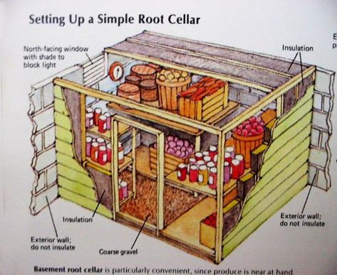 Root Cellar Designs, Eco Friendly Natural Cold Storage Solutions Root Cellar Plans, Root Cellar Storage, Store Vegetables, Root Cellar, Dry Food Storage, Cellar Design, Wooden Greenhouses, Cheap Storage, Vegetable Storage