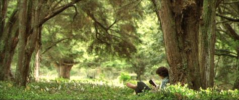 Frodo reading a book. The Fellowship Of The Ring, Frodo Baggins, Elijah Wood, Best Cinematography, Beautiful Film, Fellowship Of The Ring, The Shire, The Lord Of The Rings, Jrr Tolkien