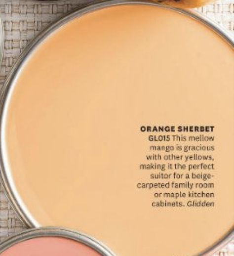 Orange Shiplap Wall, Light Orange Kitchen Walls, Light Orange Paint Walls, Creamsicle Paint Color, Light Orange House Exterior, Light Orange Wall Paint, Pale Orange Paint Colors, Pale Orange Walls, Tangerine Paint Color