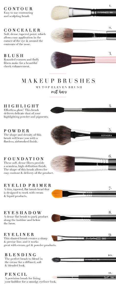 Top 11 Must Have Makeup Brushes - Lindsey Regan Thorne Must Have Makeup Brushes, Contour Brushes For Beginners, Brush For Highlighter, Mua Must Haves, Eyeshadow Brushes Guide, Makeup Artist Must Haves, Best Makeup Brushes Set, Types Of Makeup Brushes, Must Have Makeup