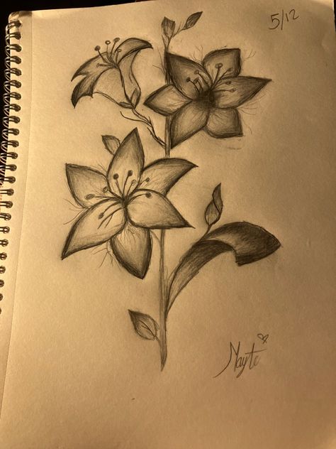 Drawing Tut, Easy Flower Drawings, Disney Canvas Art, Disney Canvas, Flower Sketches, Easy Doodles Drawings, Mini Drawings, Tattoo Design Drawings, Painting Art Projects