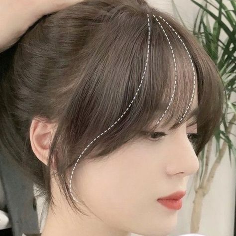 New Bangs Hair, Bangs With Curtain Bangs Korean, Invisible Bangs Korean, Short Dark Brown Hair With Bangs, Normal Bangs, Bang Types, Wispy French Bangs, Pretty Hair Cuts, Short Dark Brown Hair