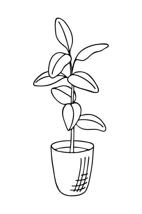 Doodle of ficus elastica or rubber tree in pot. Hand drawn vector illustration of indoor plant isolated on white background. Plant Pot Illustration, Pots Drawing, Plant Doodle, Tree In Pot, Tree Doodle, Simple Tree, Ficus Elastica, Plant Vector, Rubber Plant