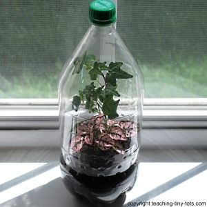 Making a terrarium out of a soda bottle can teach the water cycle.  Add a fun plastic toy or ceramic figurine inside for a touch of fun. Toddler Science, Science Activities For Toddlers, Tabletop Terrarium, Unusual Planter, Bottle Terrarium, Science For Toddlers, Plants Unit, Earth Day Crafts, Earth Day Activities