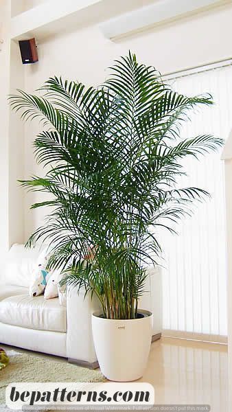 Cozy Home Decor | Living Room Art and Decoration Indoor Gardening Diy, Plant Stand Decor, Diy Planters Indoor, Diy Wooden Planters, نباتات منزلية, Living Room Plants, Areca Palm, Fall Planters, White Pot