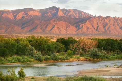 Each year, the Southwest's major river gets drier and drier. A first-of-its-kind donation from local Native American tribes could change that. New Mexico Aesthetic, Sandia Mountains, New Mexico Road Trip, New Mexico Style, Albuquerque News, Mexico Culture, Land Of Enchantment, New Mexican, Desert Painting