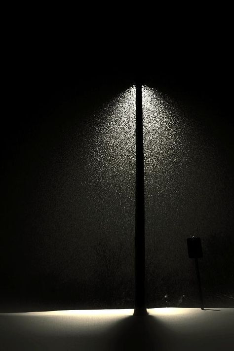 Street Lamp At Night, Screensaver Iphone, Wallpaper Night, Snow Night, Night Street, Metal Tree Wall Art, Metal Wall Art Decor, Metal Tree, Street Lamp