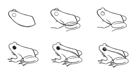 How to Draw a Frog (Step by Step with Pictures) - Jae Johns Pictures Of Frogs To Draw, Forg Drawings, Small Frog Drawing, Draw A Frog, Frog Sketch, Animal Tutorial, Small Frog, Mushroom Drawing, Frog Drawing