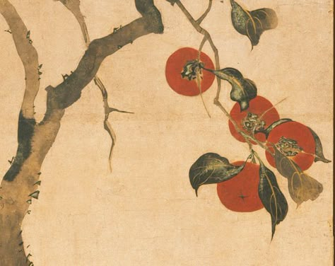 Sakai Hoitsu: Persimmon Tree (57.156.3) | Heilbrunn Timeline of Art History | The Metropolitan Museum of Art Persimmon Branch, Persimmon Artwork, Persimmon Botanical Illustration, Fuyu Persimmon Tree, Edo Period Art, Japan Heian Period Art, Japanese Art Styles, Illustration Botanique, Eastern Art