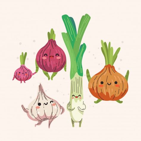 Onion Illustration, Onion Drawing, Food Character, 2d Character Animation, Vegetable Illustration, Food Cartoon, Vector Food, Character Cartoon, Watercolor Projects