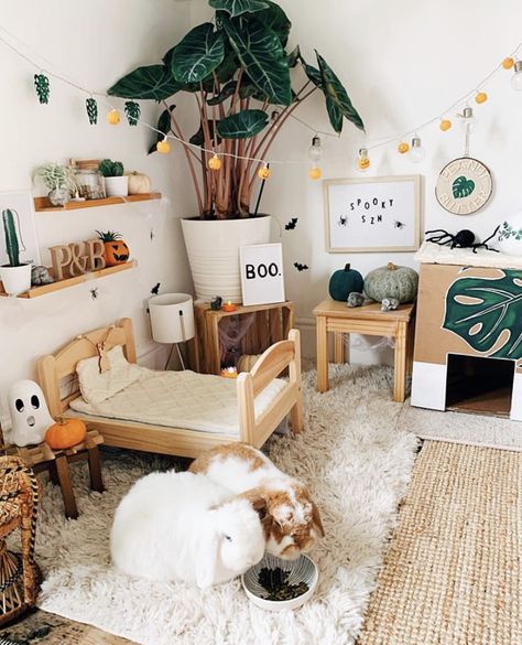 Boho Bunny Room, Bunny Free Roam Area, Bunny House Decor, Rabbit In Bedroom, Indoor Bunny Setup Diy, Bunny Setup In Bedroom, Freeroam Bunny Setup, Rabbit Set Up Indoor Aesthetic, Pet Rabbit Aesthetic