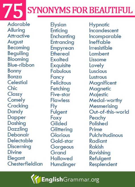 Vocabulary