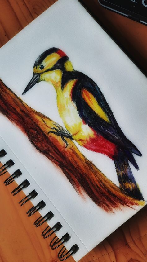 Woodpecker bird painting with oil pastel colour. Full video is on my YouTube channel: https://youtu.be/dDwds_eN_OU 👍 Like ✅ Share 🔔 Subscribe #woodpecker #bird #birdDrawing #oilPastel #pastel #art #painting #tutorial #drawing Poster Colour Birds Painting, Colour Full Drawing, Woodpecker Drawing, Pastel Art Painting, Bird Drawing For Kids, Art Painting Tutorial, Sparrow Drawing, Draw A Bird, Woodpecker Bird