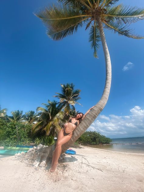 Girl laying on tree in bikini on the beach Belize Photo Ideas, Barbados Photo Ideas, Maldives Outfit Bikinis, Couples Beach Vacation Photo Ideas, Belize Pictures Ideas, Beach Photos Outfit Ideas, Belize Outfit Ideas, Bahama Picture Ideas, Tropical Vacation Photo Ideas