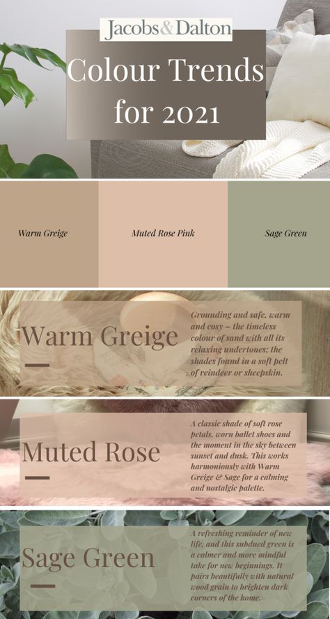 House Color Palettes, Colour Trends, Interior Colour, Color Palette Design, Paint Colors For Home, Room Paint, Bedroom Colors, Colour Schemes, Room Colors