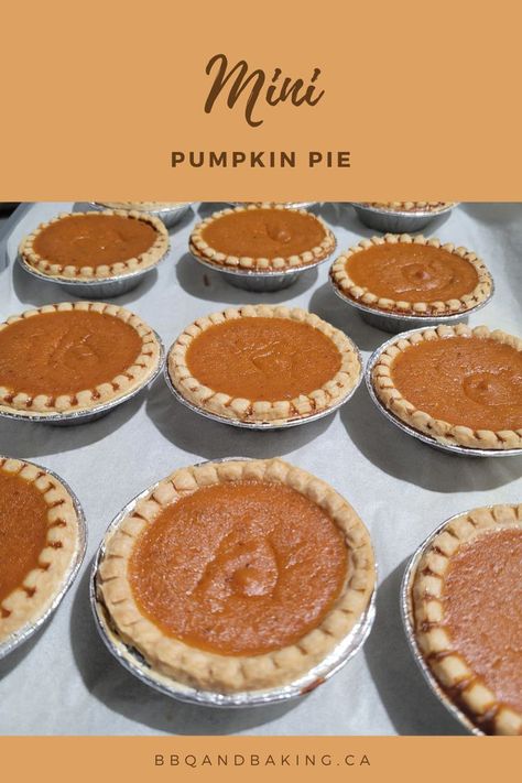 nine mini pumpkin pies Hand Held Pumpkin Pies, Pumpkin Pie Biscuits, Homemade Mini Pumpkin Pies, Pumpkin Pies Recipes Homemade, Small Pumpkin Pie Recipe, Pumpkin Pie For Two, Pumpkin Pie Mini Pies, Pumpkin Pie Tarts Mini, Mini Pumpkin Pies Graham Cracker Crust