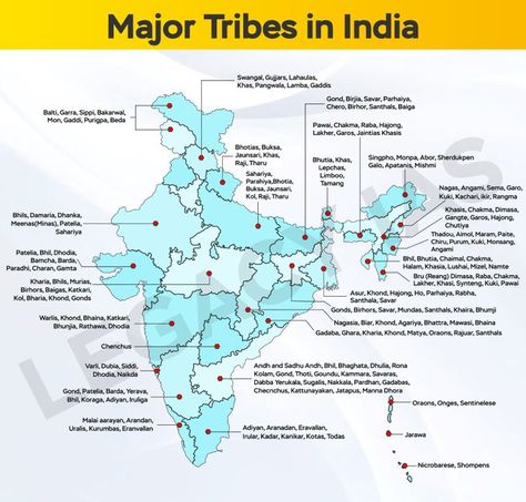 (1) Tribal Army on X: "Major Tribes In India !!! Learn about major tribes in India, their rich cultural heritage and gain insights into the diversity of our nation. https://t.co/5mqG6anSy7" / X Upsc Strategies, Indian Diversity, Tribes In India, Basic Geography, Upsc Notes, Ias Study Material, General Studies, Indian Culture And Tradition, History Infographic