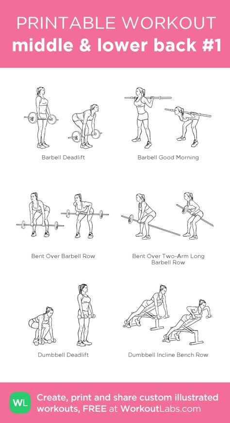 Back And Bicep Workout, Workout Labs, Printable Workout, Gym Workout Plan For Women, Gym Plan, Back Fat Workout, Printable Workouts, Lower Back Exercises, Planet Fitness