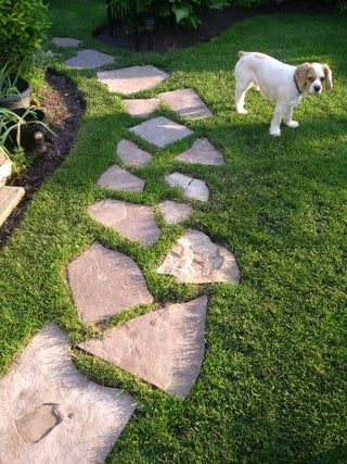 Stepping Stone Path, Stone Backyard, Stepping Stone Pathway, Stepping Stone Walkways, Stepping Stone Paths, Flagstone Walkway, Flagstone Path, Backyard Walkway, Patio Projects