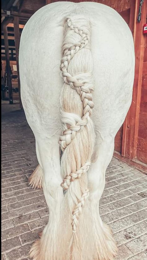 Draft tail braid seen at Appleby Horse Fair, the biggest and best in Europe. Horse Main Ideas, Horse Mane Ideas, Horse Mane Styles, Horse Hairstyles, Horse Braids, Horse Mane Braids, Tail Designs, Horse Hair Braiding, Unusual Horse