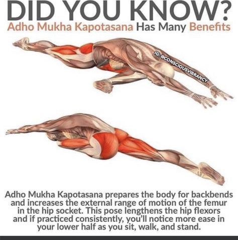 Fitness Legs, Yoga Goals, Fitness Hacks, Ashtanga Vinyasa Yoga, Yoga Anatomy, Perfect Health, Training Ideas, Healthy Activities, Pilates Training