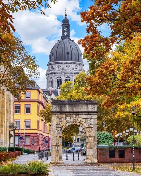 Düsseldorf , Germany 🇩🇪 📷@Unknown #travel #travelling #tour #visit #germany #europe #nature #natural Europe Nature, Dusseldorf Germany, Visit Germany, Dusseldorf, Europe Travel, Places To Visit, Germany, Travel, Nature