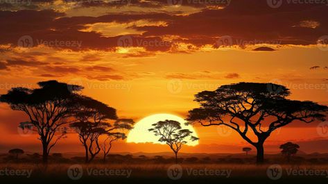 Sunset at a South African nature reserve casting tree silhouettes Nature, Africa Sunset Tattoo, Africa Sunset Painting, African Sunset Tattoo, African Savannah Landscape, South African Sunset, Africa Savannah, South Africa Nature, African Trees