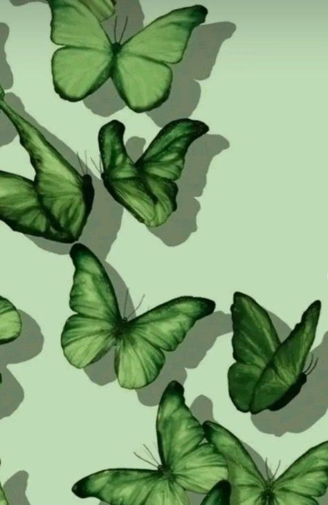 Green Inspo, Mint Green Aesthetic, Sage Green Wallpaper, Dark Green Aesthetic, Rainbow Aesthetic, Green Photo, Green Theme, Phone Wallpaper Design, Pinturas Disney