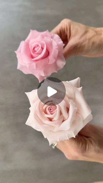 Ekaterina Salinger on Instagram: "Making of my sugar roses using flexible paste

#cake #cakedesign #cakedecorating #cakeart #cakeinspiration #caketıtorial #cakedecorating #caketrends #sugarflowers #sugarflower #waferpaper #wagerpaperflowers #sugarart #ekats #ekatsretreat #cakeretreat #ekats" Sugar Paste Flowers, Sugar Rose, Cake Trends, Diy Crafts Paper Flowers, Sugar Craft, Sugar Paste, Wafer Paper, Crafts Paper, Sugar Art