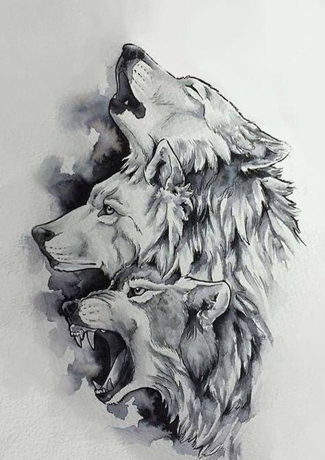 3 Wolves Tattoo Design, 3 Wolves Tattoo, 3 Wolf Tattoo, Dire Wolf Tattoo, Tattoo Wolves, Wolf Tattoos Men, Wolf Sketch, Wolf Tattoo Sleeve, Wolf Artwork