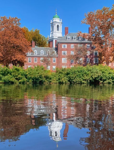 Ivy League Aesthetic, Georgian Revival, Cambridge Massachusetts, Charles River, Secret Gardens, Dream School, Harvard University, Ivy League, Academia Aesthetic