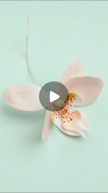 Orchid Cake Ideas, Buttercream Orchid, Cake Flowers Tutorial, Gum Paste Flowers Tutorials, Orchid Cake, Sugar Paste Flowers, Sugar Flowers Tutorial, Fondant Flower Tutorial, Beautiful Cake Designs