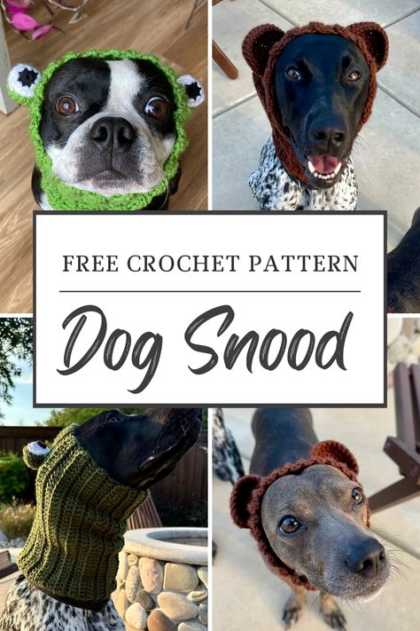 Make a crocheted dog snood for your pet using this FREE crochet pattern! Great for Halloween to be a frog, bear, bunny, unicorn, and more! Dog Beanie Pattern, Crochet Dog Hat Free Pattern, Crochet Hats Free Pattern Ladies, Crochet Pets, Dog Neck Warmer, Crocheted Dog, Crochet Dog Hat, Snood Pattern, Crochet Snood