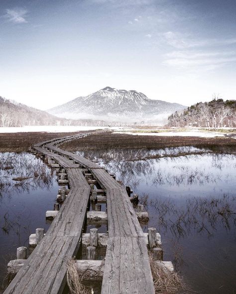 Oze is the largest highland marsh on Honshu, the main island of Japan. These wetlands were created over a period of 6000-7000 years! Take a stroll along the raised walkways or relax on a bench and enjoy this rare natural landscape up close 🏞️ 📸CREDIT: @tbukkiy ~ ~ #VisitJapan #NationalPark #Nature #Relaxation #WhenWeTravelAgain 📌 Gunma [...] The post Visit Japan: Oze is the largest highland marsh on Honshu, the main island of Japan. These wet… appeared first on Alo Japan. Gunma, Visit Japan, Tag Photo, Natural Landscape, Walkway, Japan Travel, Relaxation, Maine, National Parks