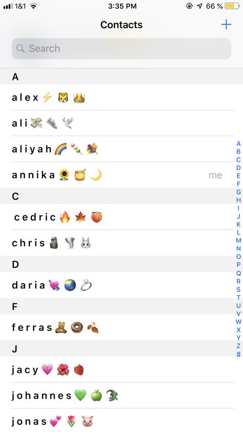 here’s an inspiration how to name your contacts with cute aesthetic emojis Whatsapp Names Ideas, Emoji Contact Names, Aesthetic Contacts Phone, Phone Contacts Aesthetic, Dad Contact Names Ideas, Snap Names, Contact Ideas, Iphone Contacts, Aesthetic Emojis