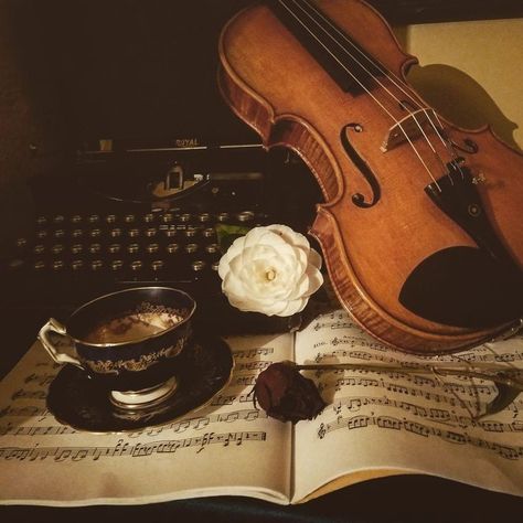 Vows Aesthetic, Iris Aesthetic, Violin Aesthetic, Rebecca Ross, Violin Photography, Violin Art, Violin Players, Musical Art, Shall We Date