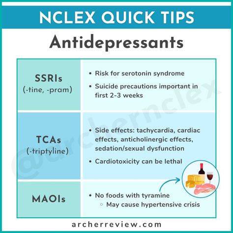 The three main categories of... - Archer NCLEX Review Archer Nclex Review, Nclex Next Gen, Nclex Hacks, Archer Review, Nutrition Notes, Nursing School Prep, Nurse Bae, Nclex Tips, Nursing Flashcards