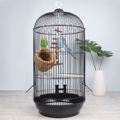 Tucker Murphy Pet™ Damiean Dome Top Hanging Bird Cage with Perch & Drawer Tray & Reviews - Wayfair Canada Hanging Bird Cage, Accessories Simple, Bird Cages, European Art, Metal Accessories, Iron Art, Art Metal, Bird Cage, Home Art