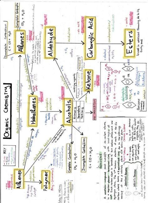 Organic Chemistry can be confusing... here's a visual mind map with everything you need to know. (p.s. don't forget the functional groups and key reactions) Organic Chemistry Mind Map, Chemistry Mind Map, Organic Chemistry Notes, Organic Chemistry Reactions, Biochemistry Notes, Neet Notes, Organic Chemistry Study, Concept Maps, Chemistry Study Guide