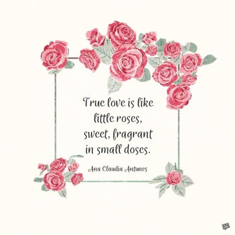 Happy Rose Day, Rose Quotes, Rose Day, True Love Is, Romantic Words, Pin Pics, Valentine Quotes, Valentine's Day Quotes, Day Quotes