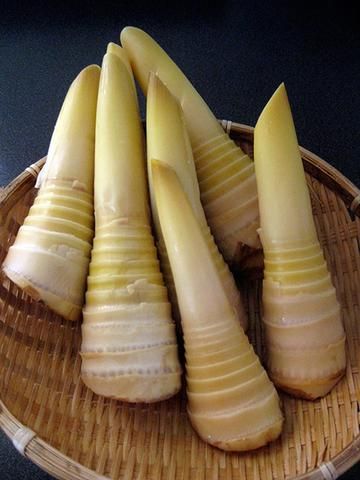 Preparing Bamboo Shoot – TOIRO Black Bamboo Plant, Bamboo Species, Korean Skin Care Secrets, Bamboo Shoot, Bamboo Chopping Board, Bamboo Construction, Home Grown Vegetables, Bamboo Art, Bamboo Shoots